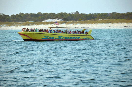 Sea Screamer out cruising for dolphins
